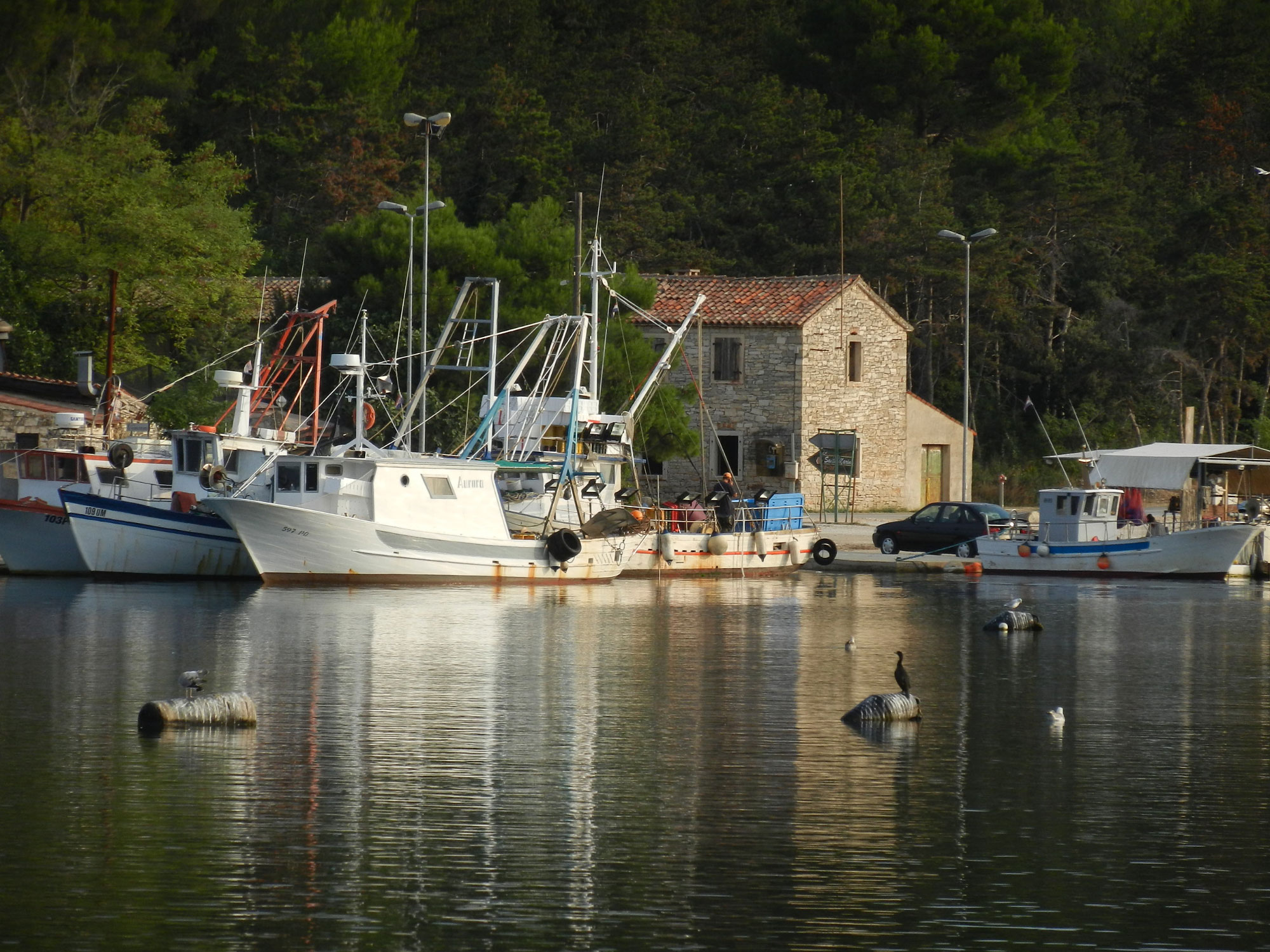 Porec